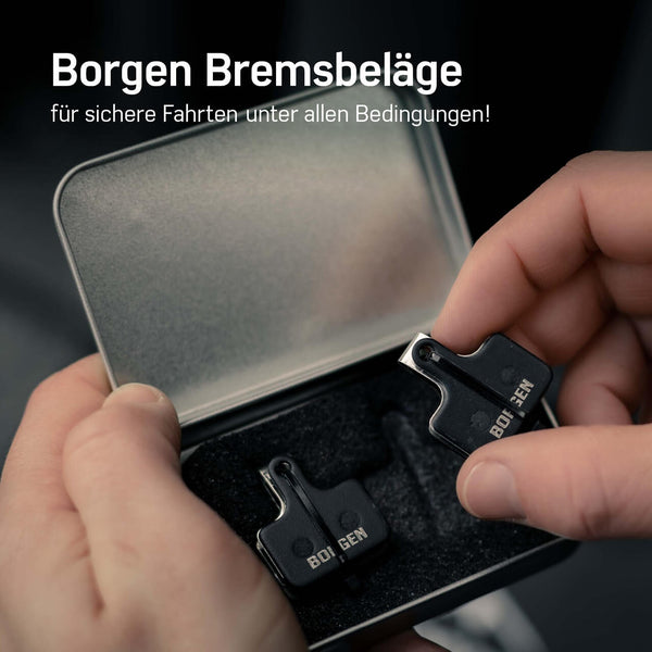 BR RX400 Bremsbeläge von Borgen