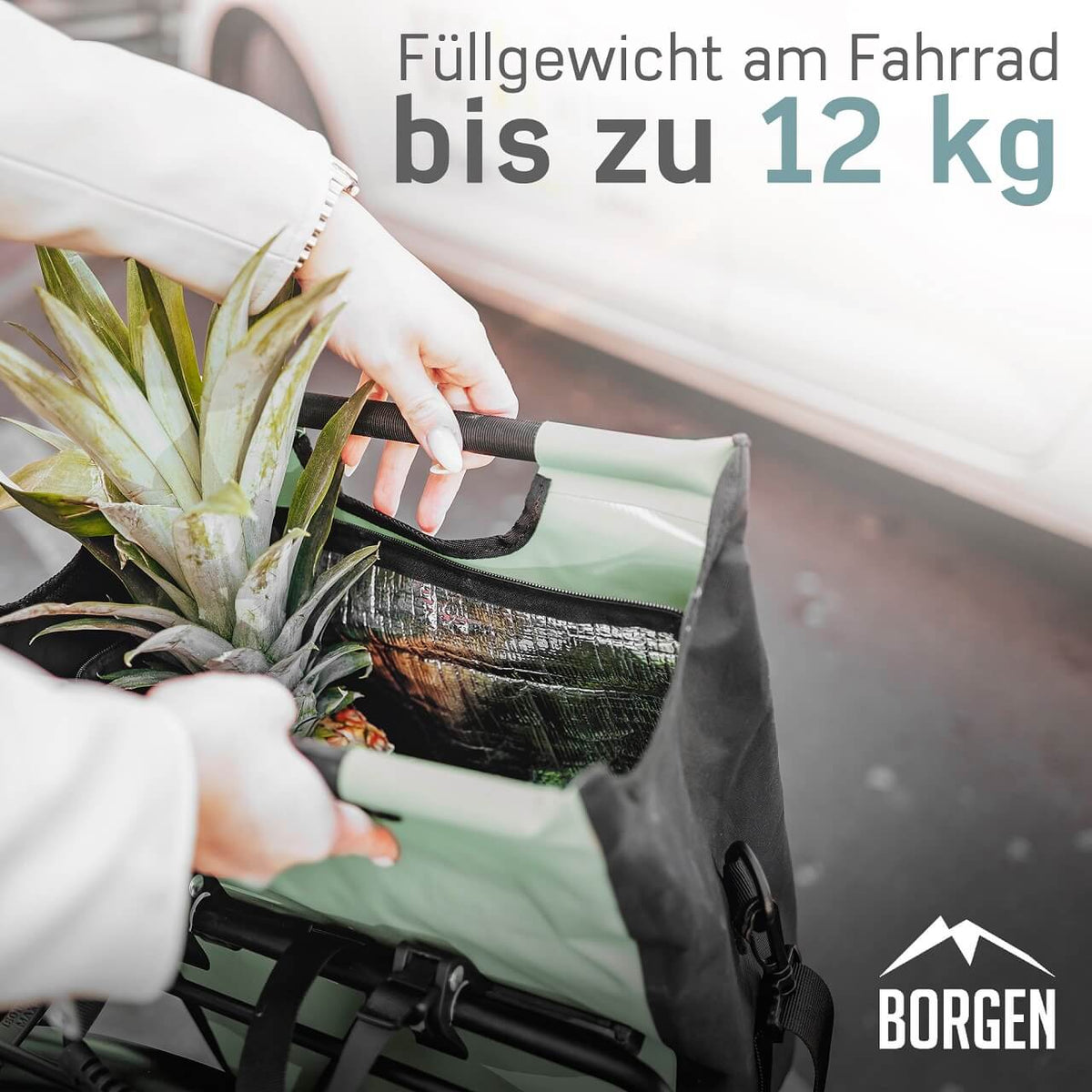 stabile fahrradtasche Fahrradtasche hinten » abnehmbar